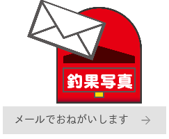 釣果メール